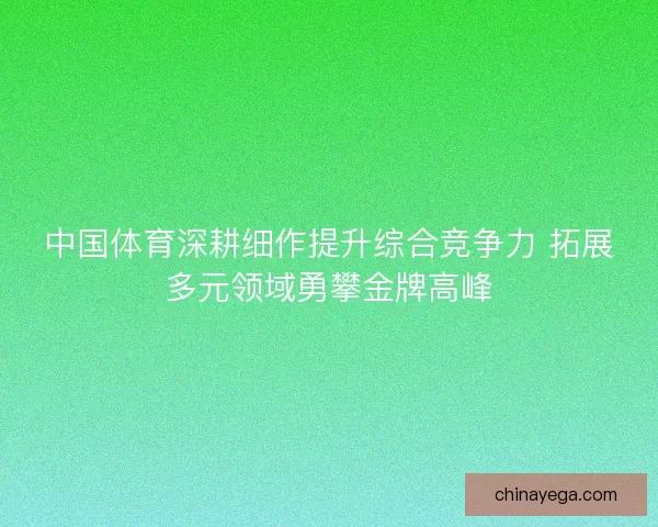 中国体育深耕细作提升综合竞争力 拓展多元领域勇攀金牌高峰